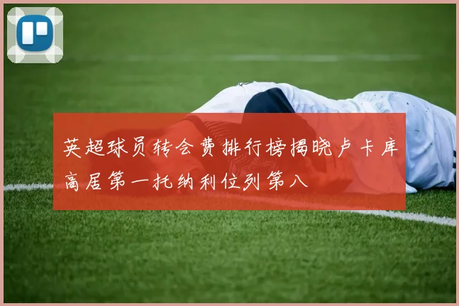 英超球员转会费排行榜揭晓卢卡库高居第一托纳利位列第八